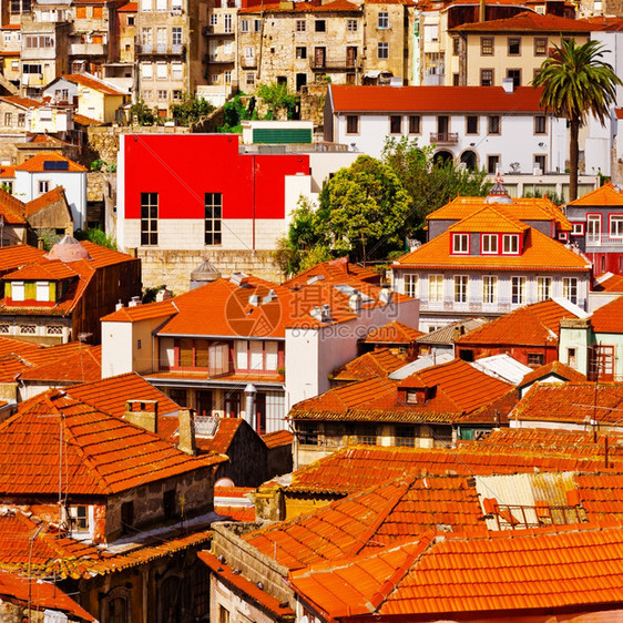 葡萄牙波尔图市中心全景图片