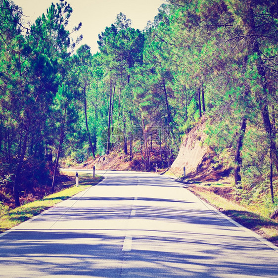 葡萄牙的森林石灰路Instagram效应图片