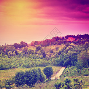 托斯卡纳山和日落的葡萄园Instagram效应图片