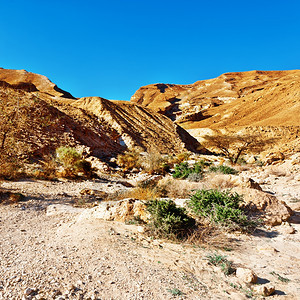 以色列内盖夫沙漠峡谷图片