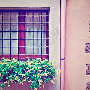 以鲜花装饰的意大利屋面窗口Instagram效应图片