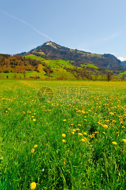 瑞士阿尔卑斯山的小村庄高地图片