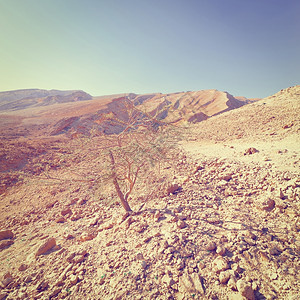 以色列内盖夫沙漠落基山Instagram效应图片