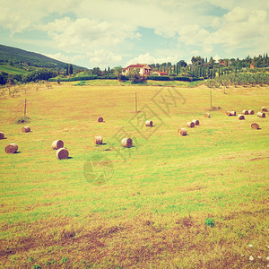 意大利村背景的托斯卡尼观与许多海巴雷斯图片