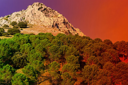 西班牙日落山地上的隐藏森林图片