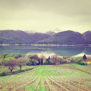 意大利科巴拉湖海岸的葡萄园在雨日Instagram效应图片