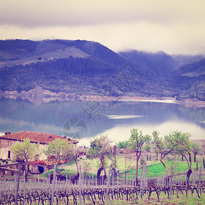 意大利科巴拉湖海岸的葡萄园在雨日Instagram效应图片