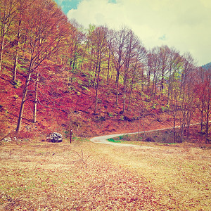 皮埃蒙特意大利阿尔卑斯山坡上的泥土森林路Instagram效应图片