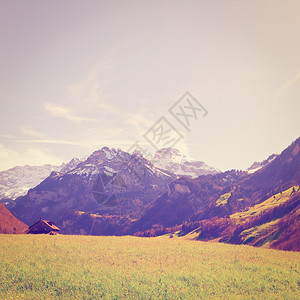 高山草地上的农庄由瑞士雪峰山形成Instagram效应图片