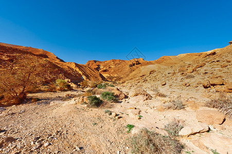 珏山以色列内盖夫沙漠大克拉泽石块背景