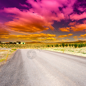 西班牙日落时沿奥利弗格罗夫的阿法特公路图片