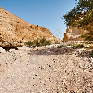 约旦河西岸犹太沙漠的峡谷图片