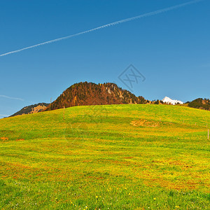 高山草地由瑞士丘标图片