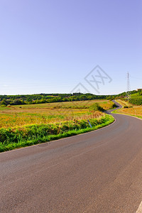 托斯卡纳秋季田地和藤园之间的风向阿斯法特路图片