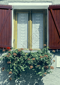 意大利窗口装有开放木制百叶窗装饰用鲜花图片