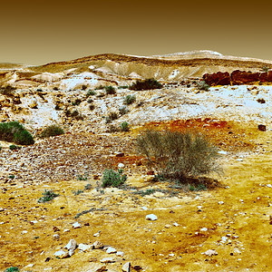以色列内盖夫沙漠大巨石Retro图像过滤风格图片