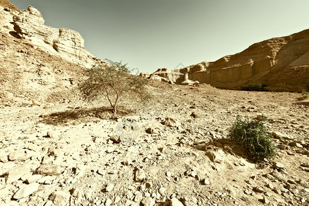约旦河西岸的Judean沙漠Retro图像过滤风格图片