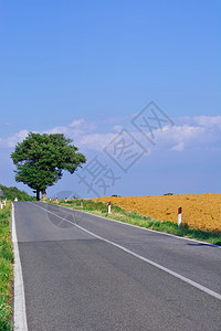 托斯卡纳的公路图片