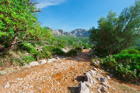 西班牙坎塔布里亚山风尘路图片