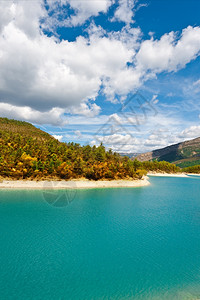 法属阿尔卑斯山湖木化海岸图片