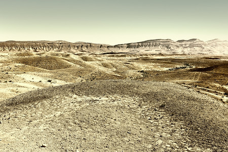 以色列Negev沙漠的大爪子Retro图像过滤风格图片