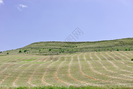 意大利西里山丘上的庄园图片