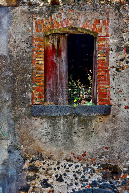 西里用野生植物装饰的破旧房屋窗口图片