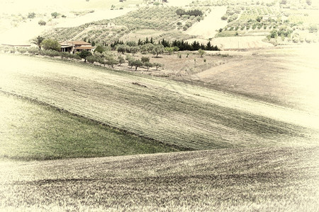 西里山上的坚固田地回溯图像过滤样式图片