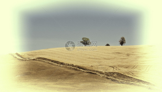 西里山上的小麦田Retro图像过滤样式图片