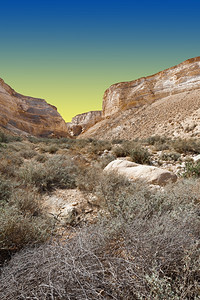 日落时以色列内盖夫沙漠的阿维达峡谷图片