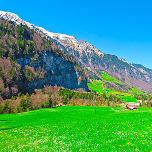瑞士阿尔卑斯山的小村庄高地图片