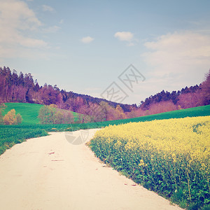瑞士阿尔卑斯山绿地和黄之间的泥土路Instagram效应图片