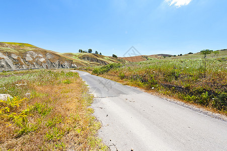 西里山小麦田间阿法特路图片