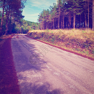 葡萄牙森林灰径路附近的现代风涡轮Instagram效应图片