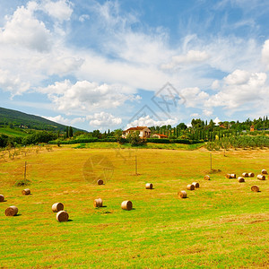 托斯卡尼Toscany与许多海巴勒斯在意大利村背景上相伴的托斯卡尼Toscany景观图片