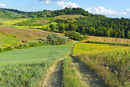 意大利玉米和秋季油田种植图片