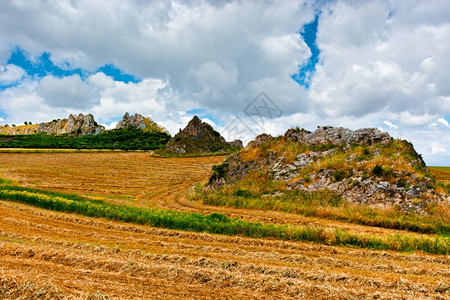 西里山丘上的麦小田图片
