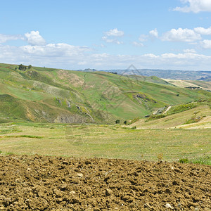 西里山丘上的小麦田图片素材