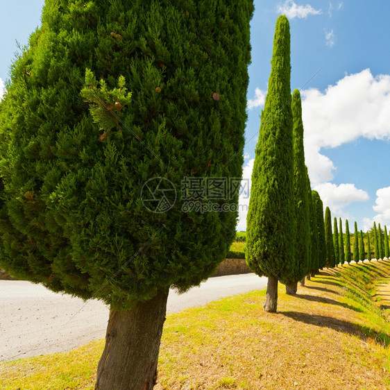 基安提州Toscany山和葡萄园图片