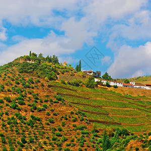 葡萄牙山上的庄园图片