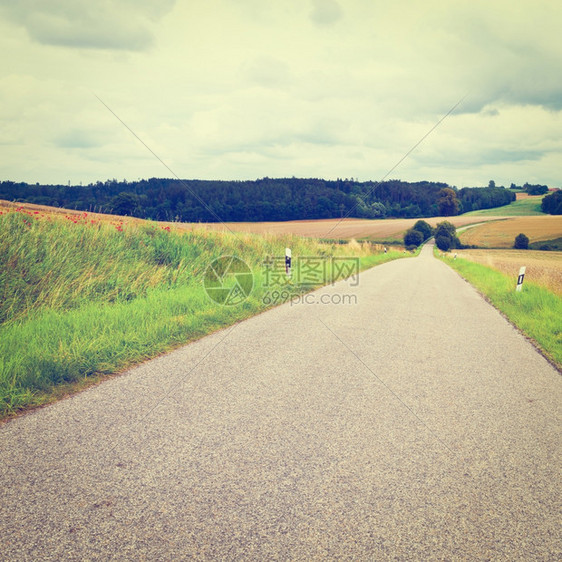德国巴伐利亚的玉米和小麦田之间的石灰路Instagram效应图片