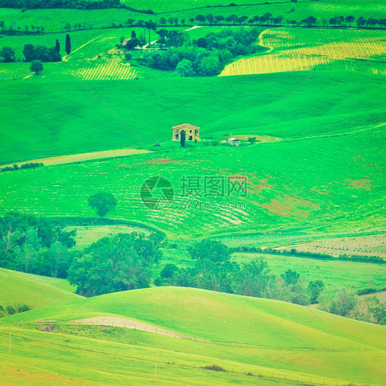 Toscan带有藤园和糊的景观Instagram效果图片