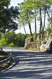 葡萄牙森林覆盖的山丘之间斜坡路图片