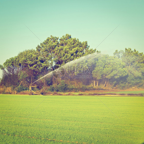 葡萄牙田地喷水器灌溉Instagram效应图片