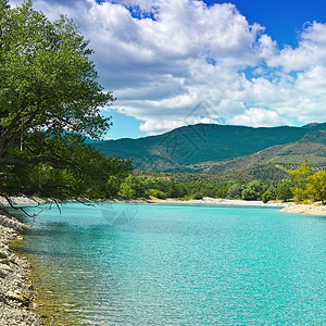 法属阿尔卑斯山湖木化海岸图片