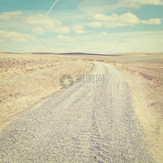 西班牙花田间公路Instagram效应图片