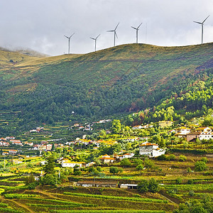 现代风力涡轮在葡萄牙园上生产能源图片