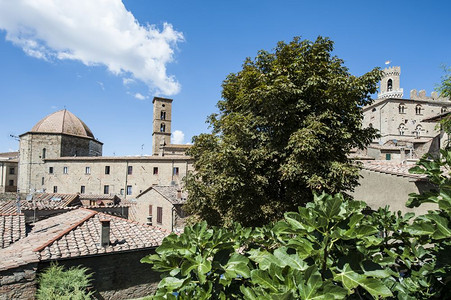 意大利中世纪伏尔特拉市景象托斯卡纳伏尔特拉大教堂楼顶图片