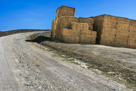 意大利泥土路附近的小麦干粉秋天在托斯卡纳草原上耕种收成后有田地的农村貌图片