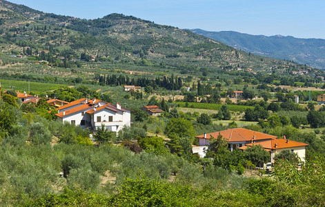 橄榄树和葡萄园之间的托斯卡纳村图片